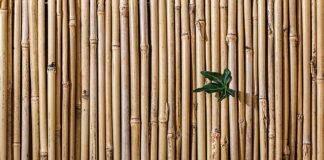 Co to jest sztywny widelec?